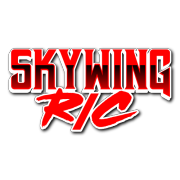 skywing v2 Decal
