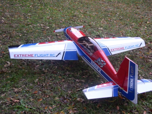 NICE Extreme Flight Extra300