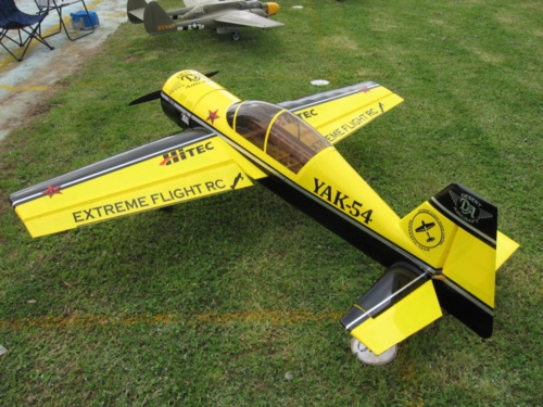 Extreme Flight black and yellow yak54