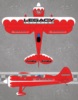 Extreme Flight Muscle Bipe Red 1