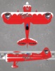 Extreme Flight Muscle Bipe Red 2